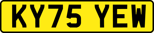 KY75YEW