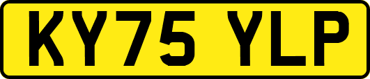 KY75YLP