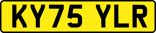 KY75YLR