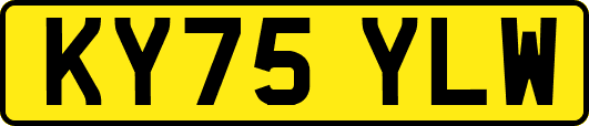KY75YLW