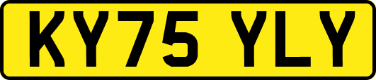 KY75YLY
