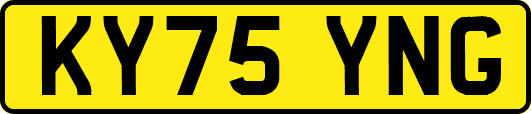 KY75YNG
