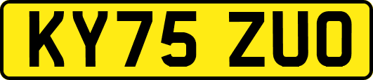KY75ZUO
