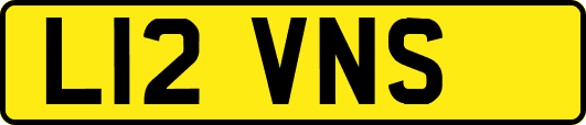 L12VNS