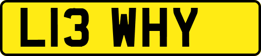 L13WHY