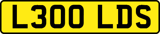 L300LDS
