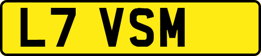 L7VSM