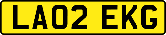 LA02EKG