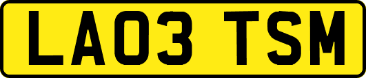 LA03TSM
