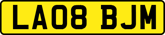 LA08BJM