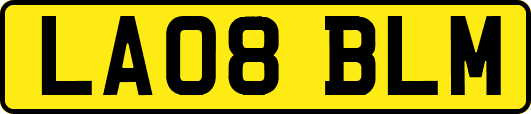 LA08BLM