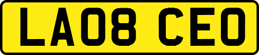 LA08CEO