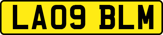 LA09BLM