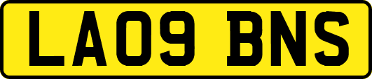 LA09BNS