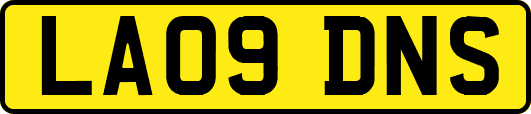 LA09DNS