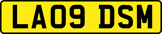 LA09DSM