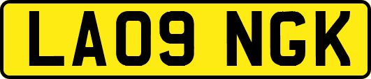 LA09NGK