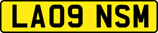 LA09NSM