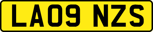 LA09NZS