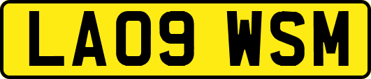 LA09WSM