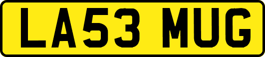LA53MUG