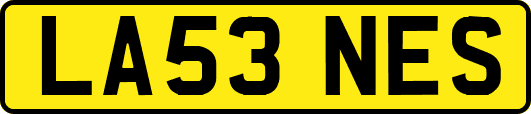 LA53NES
