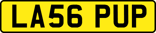 LA56PUP