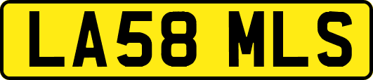 LA58MLS