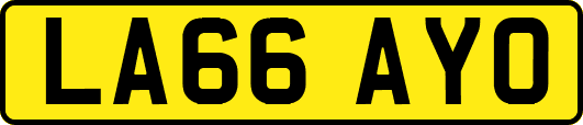 LA66AYO