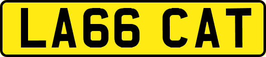 LA66CAT