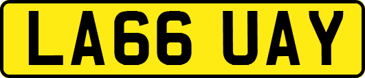 LA66UAY