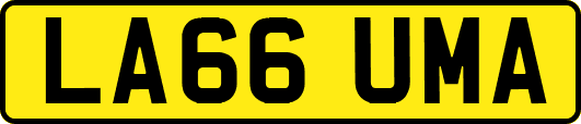LA66UMA