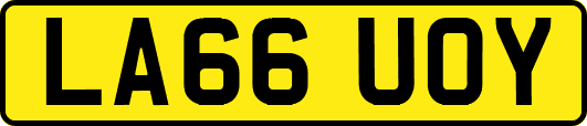 LA66UOY