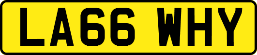 LA66WHY