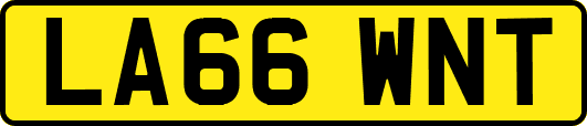 LA66WNT