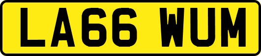 LA66WUM