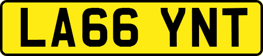 LA66YNT