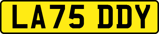 LA75DDY