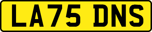 LA75DNS