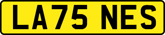 LA75NES