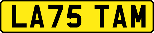 LA75TAM