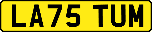LA75TUM