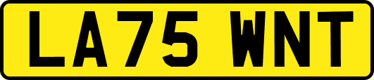 LA75WNT