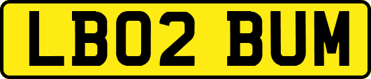 LB02BUM