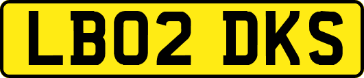 LB02DKS