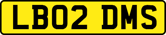 LB02DMS