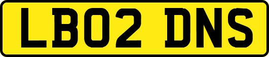 LB02DNS