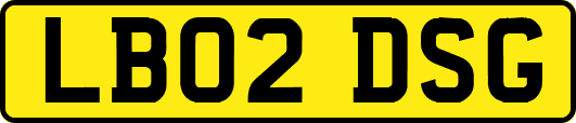 LB02DSG