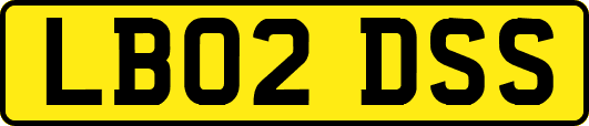 LB02DSS