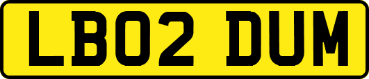 LB02DUM